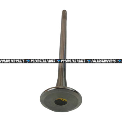 4926069 Exhaust Intake Valve M11 QSM11 ISM11 Diesel Engine 3417779